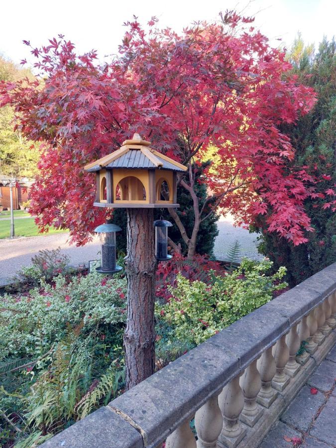 The Steadings Log Cabins Kettlebridge Bagian luar foto